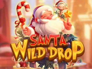 Santa Wild Drop game cover